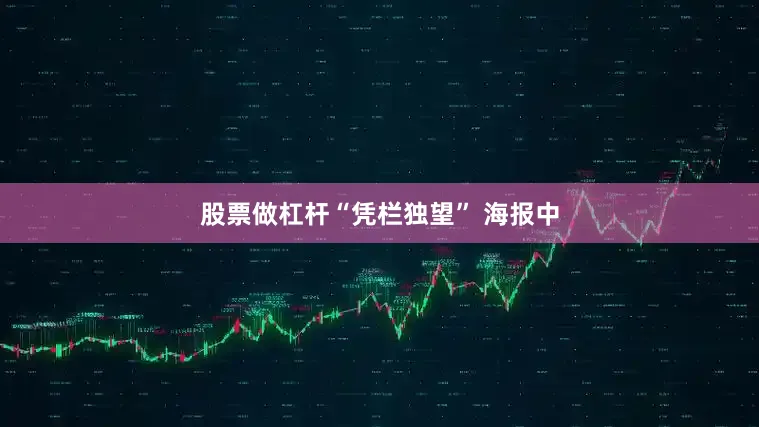 股票做杠杆“凭栏独望” 海报中